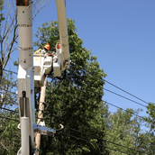 Picture of tree professional in a basket trimming branches away from power lines