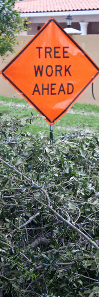 Picture of tree branches on the ground in front of an orange tree work ahead road sign